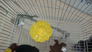 ВЛОГ Поехали покупать люстры Наши незапланированные покупки