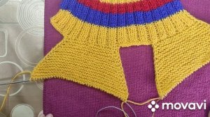 "Жилет для собачки"Вязание для животных#Одежда для собак"