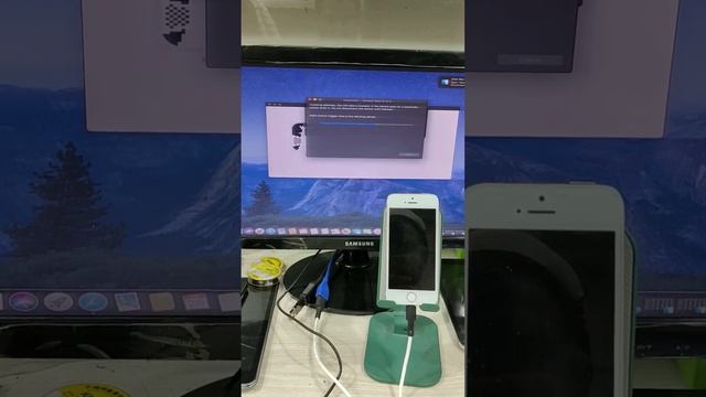 iphone 5s jailbreak 12.5.5 checkra1n Version: 0.12.4 смотреть онлайн