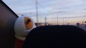 поездка по Москве с Мишель