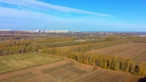 Алианс на заре .песня под видос огонь))))