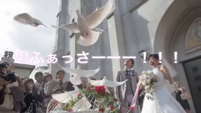 →Pia-no-jaC← Flor do Sol ぴよぴよどれみ смотреть онлайн