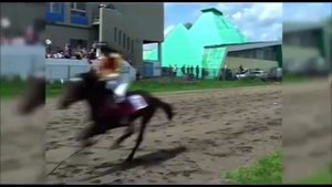 Благовещенский ипподром выпуск 2012 года#кони #ипподромблаговещенск #лошади #horse