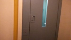 Распашной лифт ЩЛЗ 2008 г. V=1 м/с. Q=320 кг (1721)