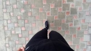 ВЛОГ Перевозим МАМУ с кошкой и собакой в Краснодар! Чуть не попали в аварию в Анапе! Встреча с мамой