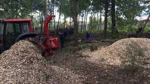 Дробилка Farmi forest