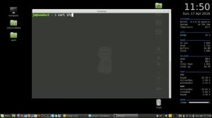 TerminalLab: Show External IP via terminal on Linux Mint