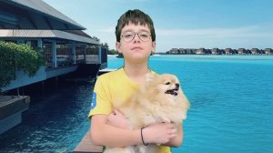 Исчезновение с собакой на Мальдивах