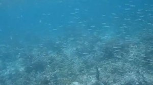 Какие тайны скрывает океан? 3-я серия