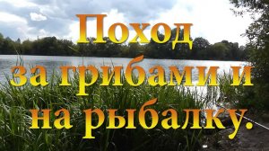 Поход за грибами и на рыбалку. Клевал подлещик и густера