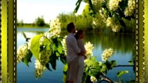 Искра - Белая черемуха (песня из кф Цвет черемухи,музыка - Сергея Жиляева,слова - Любови Воропаевой)