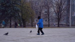 «Потому что тут много голубей» 🕊