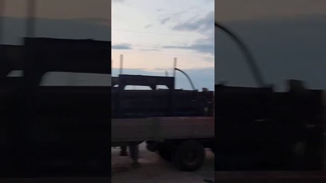 Будущее Дармовозов(((