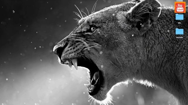 How to Enable Dark Mode in macOS Mojave смотреть онлайн