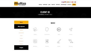 Multiza обзор, отзыв