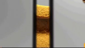 KELLOGGS TRÉSOR AND KELLOGGS KRAVE YUM YUM COMMERCIAL [SUPER MAXI HYPER UPDATE] COLLECTION