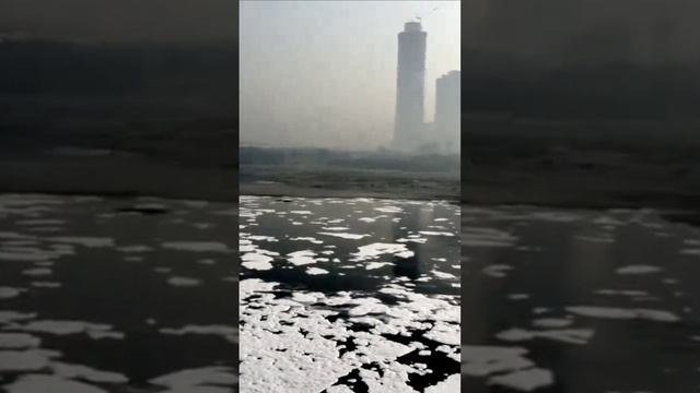 Токсичная пена в водах Индии