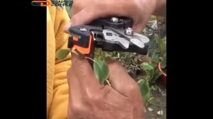 Professional Grafting Tool