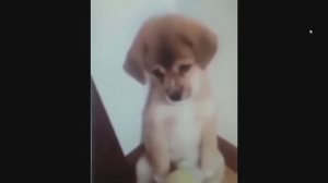 ПОДПИШИТЕСЬ ДРУЗЬЯ.