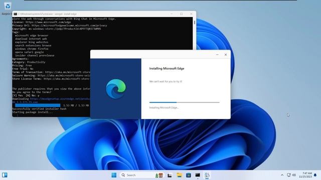 Enable Windows Copilot on tiny11 2311
