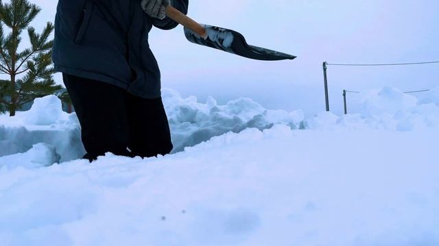 🧊РЕАЛЬНОЕ ПРОМЕРЗАНИЕ ГРУНТА🧊 Опыт первый.