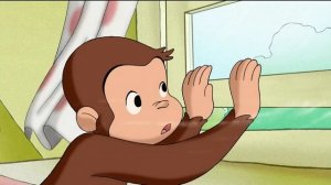 Doctor Monkey | Curious George | Cartoons for Kids | WildBrain Zoo
