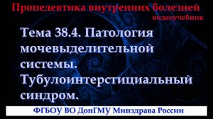 Тема 38.4. Патология мочевыделительной системы. Тубулоинтерстициальный синдром.