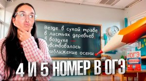 Номера 4 и 5 ОГЭ по Русскому языку | Простые предложения | Пунктуация с Нуля в ОГЭ