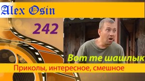 На шашлычок. Выпуск 242