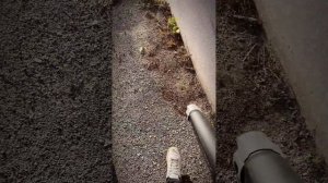 Présentation souffleur DEWALT DCMBL562