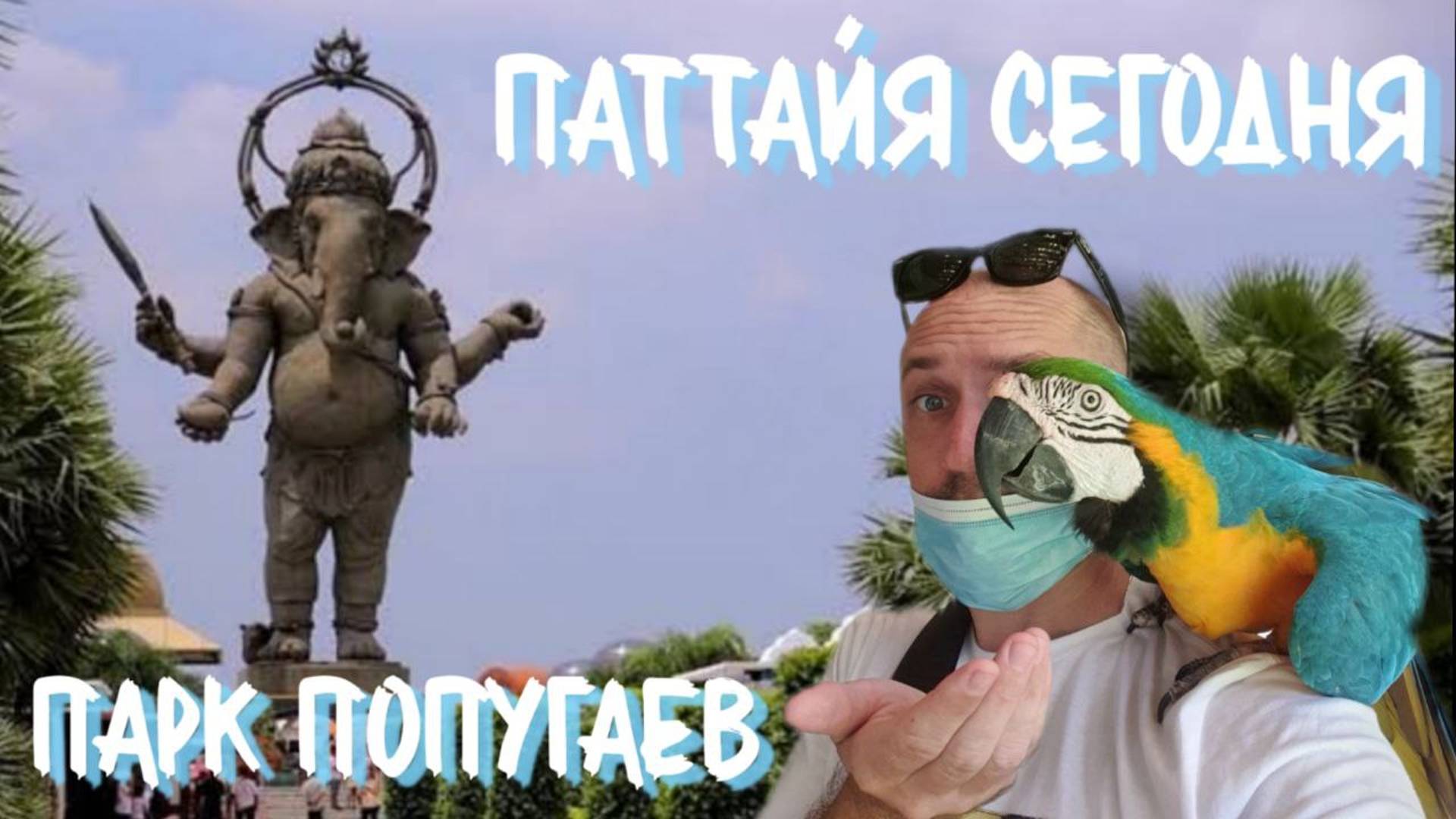 ТАИЛАНД СЕГОДНЯ Паттайя Парк попугаев в провинции ЧАЧЕНГСАУ