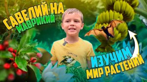 САВЕЛИЙ ИССЛЕДУЕТ МИР РАСТЕНИЙ НА МАВРИКИЙ!