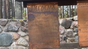 Путешествие в Медвежьегорск. Любовь и голуби.