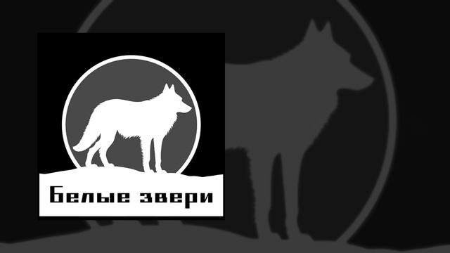 Парадигма реинкарнации — Белые звери (single version)