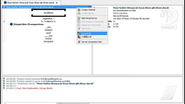 How i find TS3 IP and Address смотреть онлайн