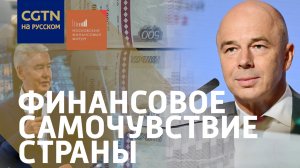 Да, мы тоже потратились - Силуанов о финзапасах России