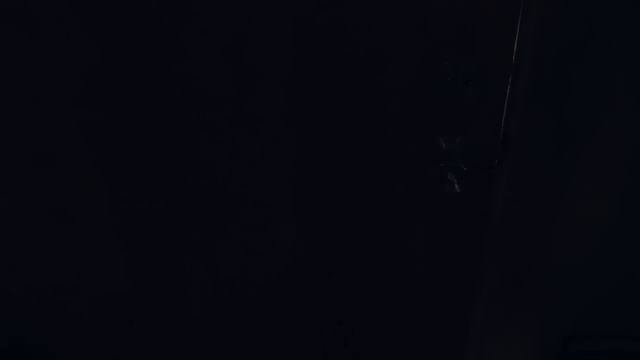 What is Halloween смотреть онлайн