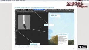 Photo Painting in Photoshop iBook preview...