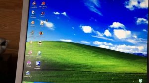 Windows XP startup