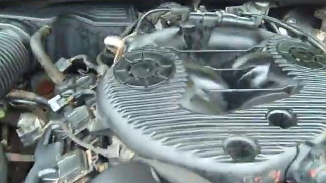 DONT BUY ITREPIDS! смотреть онлайн