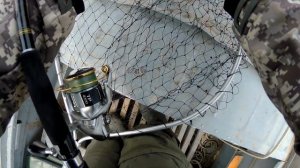 Рыбалка в Астрахани.Харабали, с.Селитренное. Апрель 2018. Ловля судака