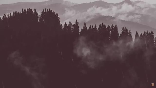 YAGMUR SESİ / RAHATLAMA / RAİN / смотреть онлайн