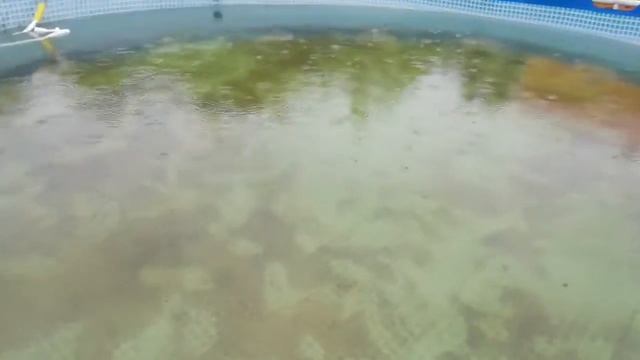 Каркасный бассейн на даче, Набережные Челны.