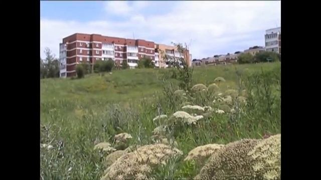 Осторожно- борщевик!