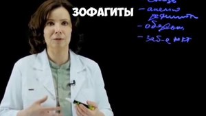 Кишечник основа нашего здоровья