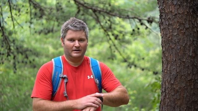 Apple Watch 3 with Solar Panel? смотреть онлайн