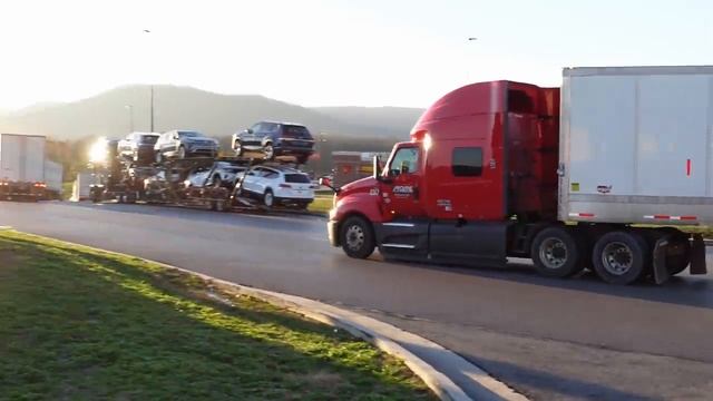 Неужели Мне Порезали Штору смотреть онлайн