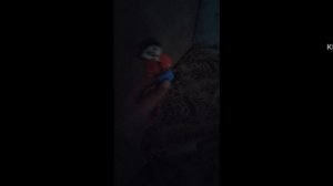 бемон и потерянная мечта (начало)