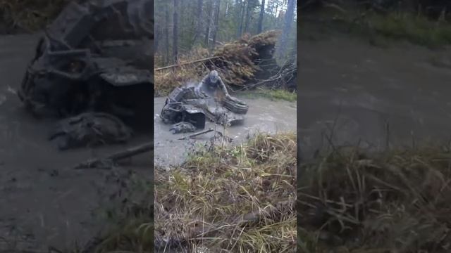 Мощный гряземес Brp Renegade 800