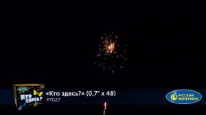 Фейерверк Р7027 Кто здесь 48 х 0.7